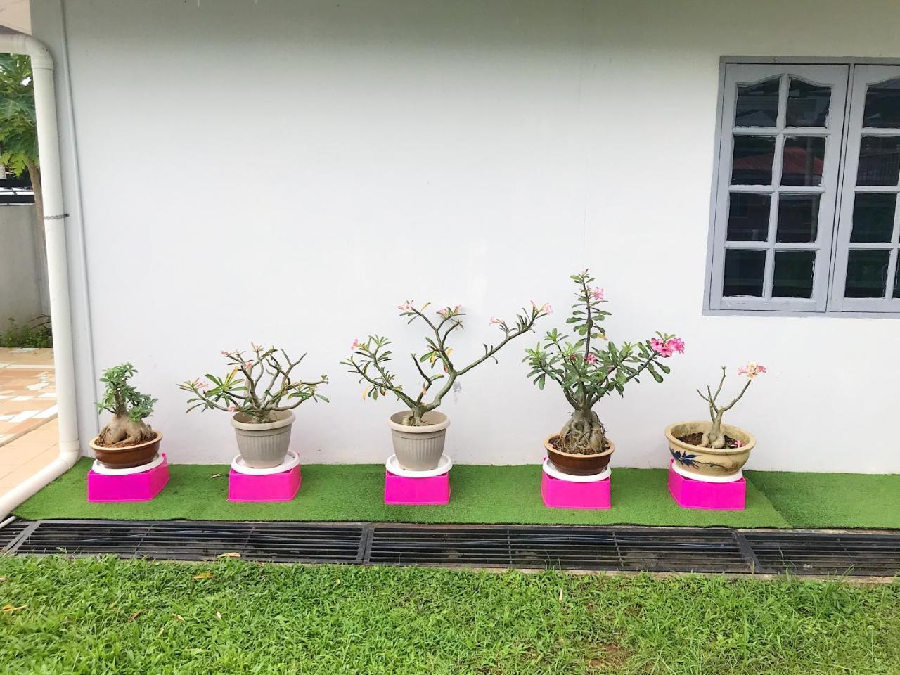 Merdeka Guest House 2 クチン エクステリア 写真